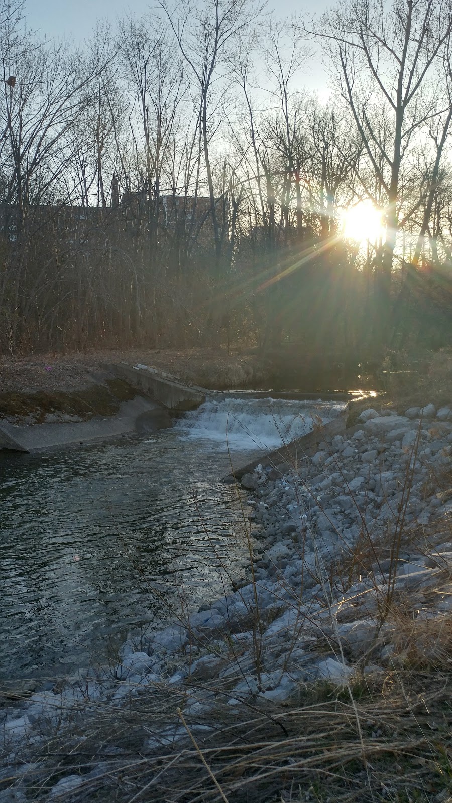 Hague Park | 300 Bellamy Rd N, Toronto, ON M1H, Canada