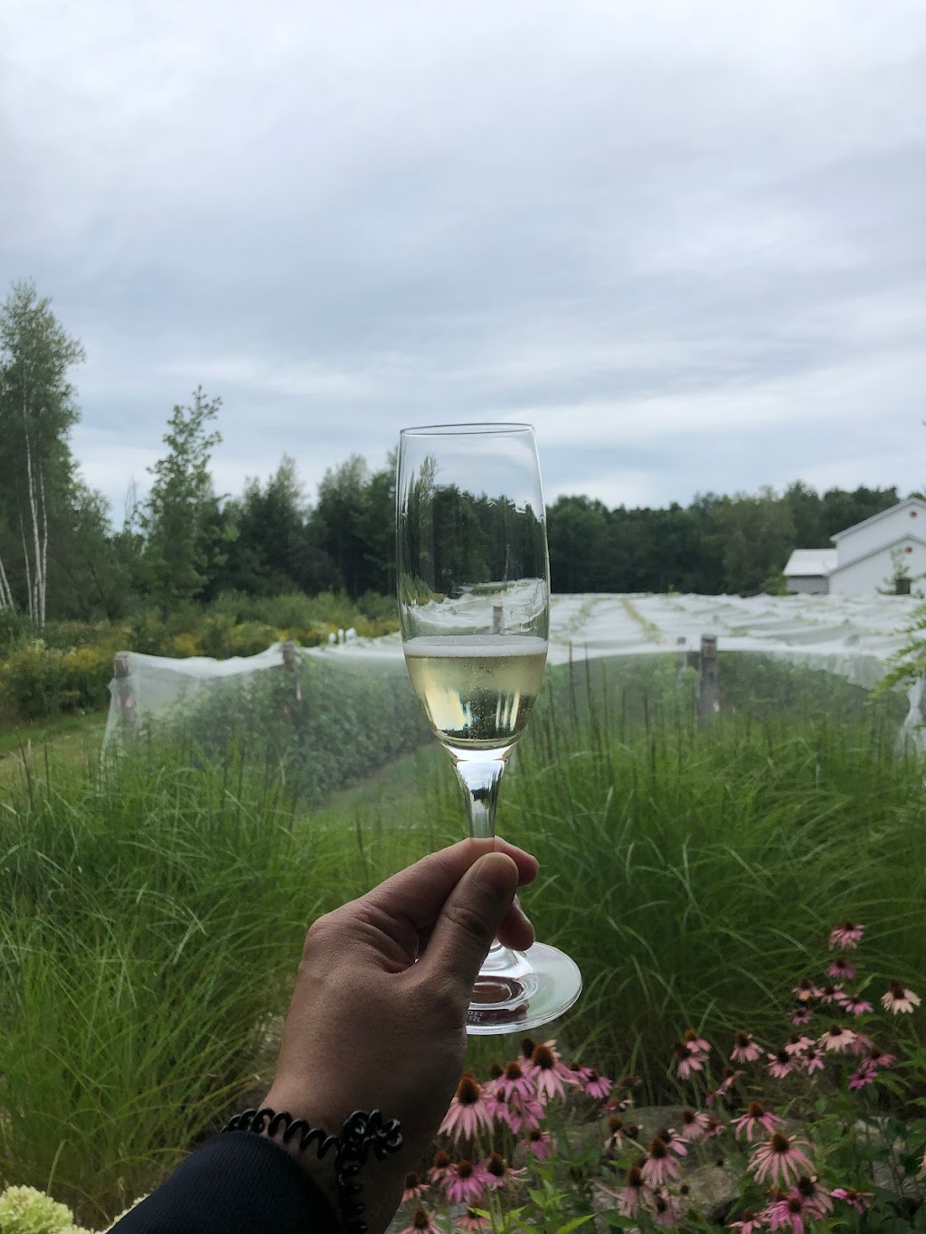 Domaine Bergeville | 1030 Chem. Sherbrooke, Hatley, QC J0B 2C0, Canada | Phone: (819) 842-1026