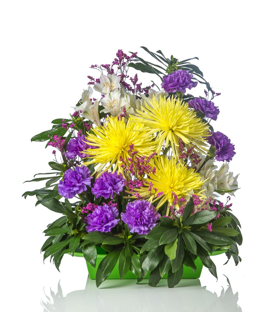 Blooms by Bloy Calgary Head Office | 145 Point Dr NW #1204, Calgary, AB T3B 4W1, Canada | Phone: (403) 819-1205