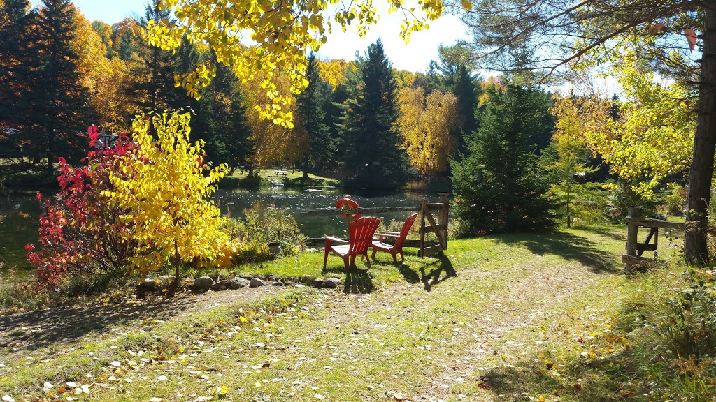 Castleton Hills RV Park | 103 Park Rd, Castleton, ON K0K 1M0, Canada | Phone: (905) 344-7838