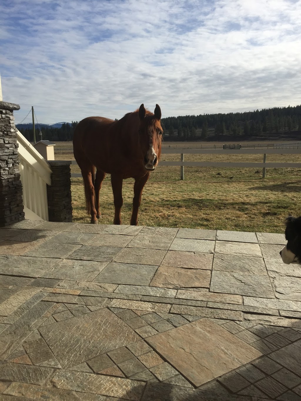 Dove Tail Farms | Hall, 611 Princeton Summerland Rd, Princeton, BC V0X 1W0, Canada | Phone: (604) 802-5719