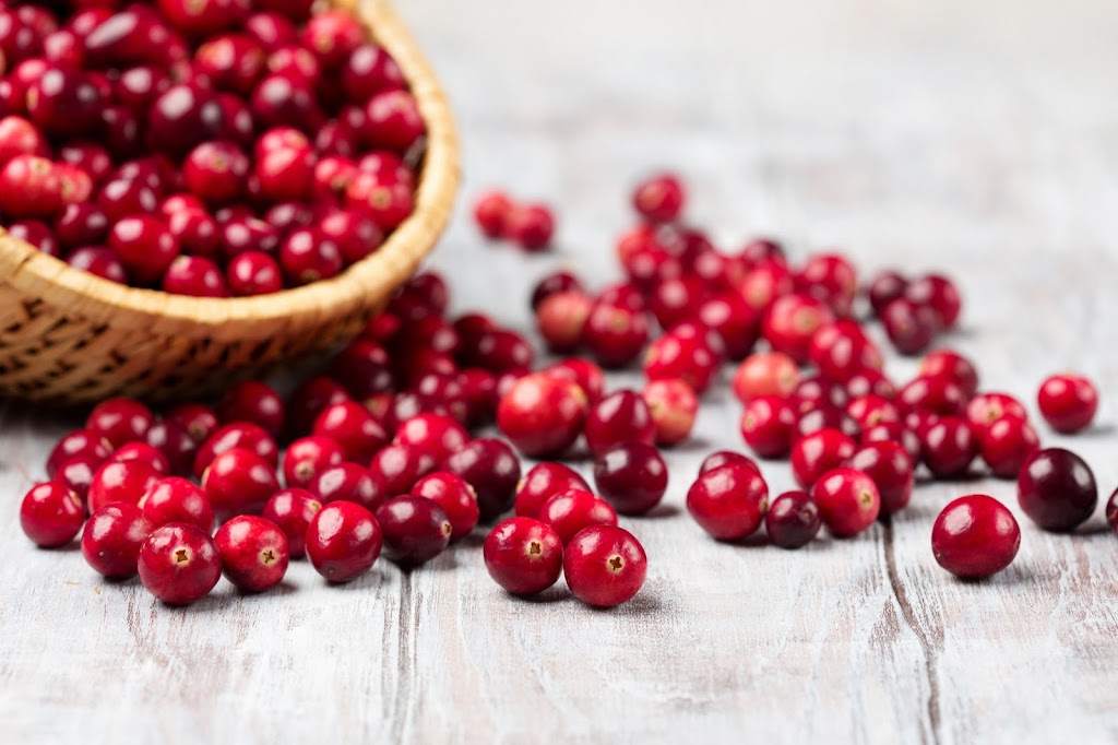 Yellow Point Cranberries | 4532 Yellow Point Rd, Ladysmith, BC V9G 1G5, Canada | Phone: (250) 245-5283