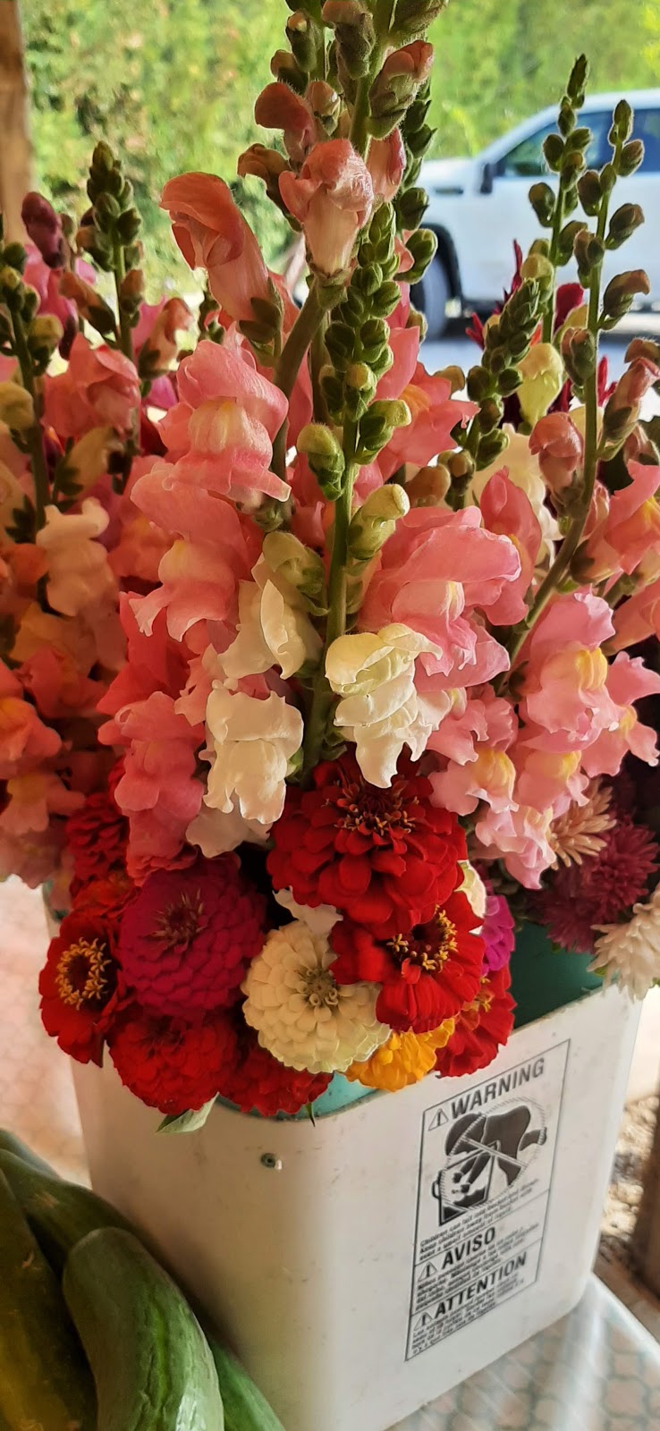 Farm Fresh Produce | 5653 ON-60, Douglas, ON K0J 1S0, Canada | Phone: (647) 821-7883