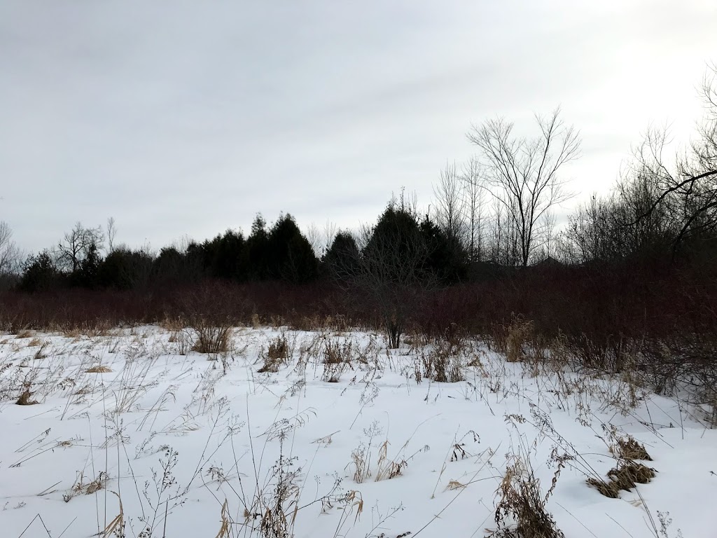 Osprey Ridge West | 78 Osprey Ridge Rd, Barrie, ON L4M 6P3, Canada | Phone: (705) 739-4255
