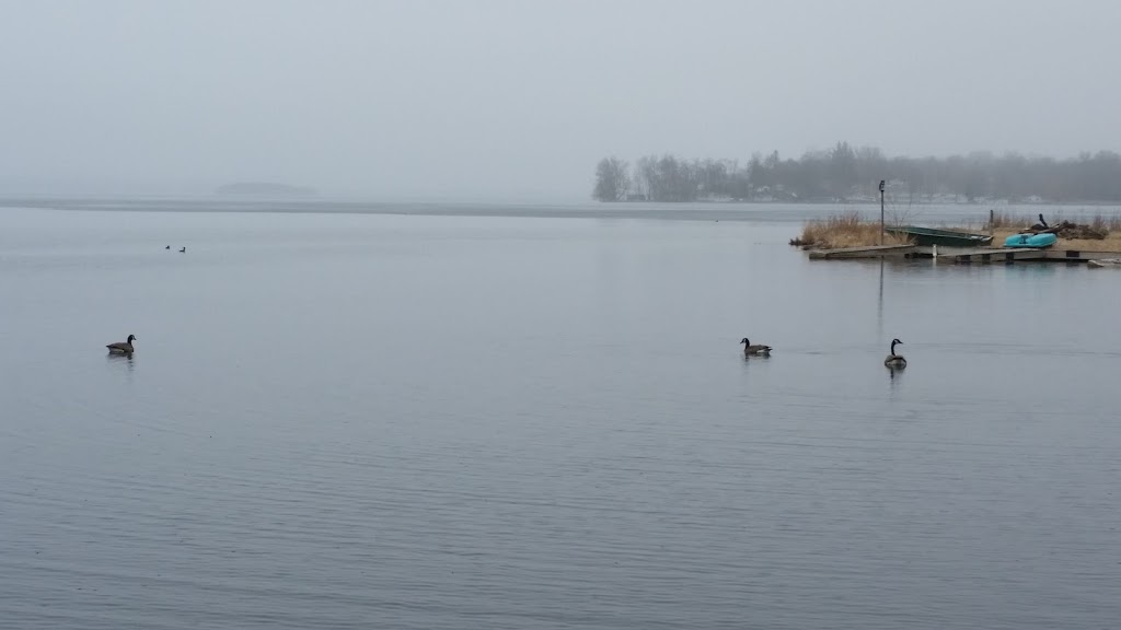 Rice Lake Retreat Cottage and Camping | 250 Dunette Landing Rd, Roseneath, ON K0K 2X0, Canada | Phone: (416) 432-6002