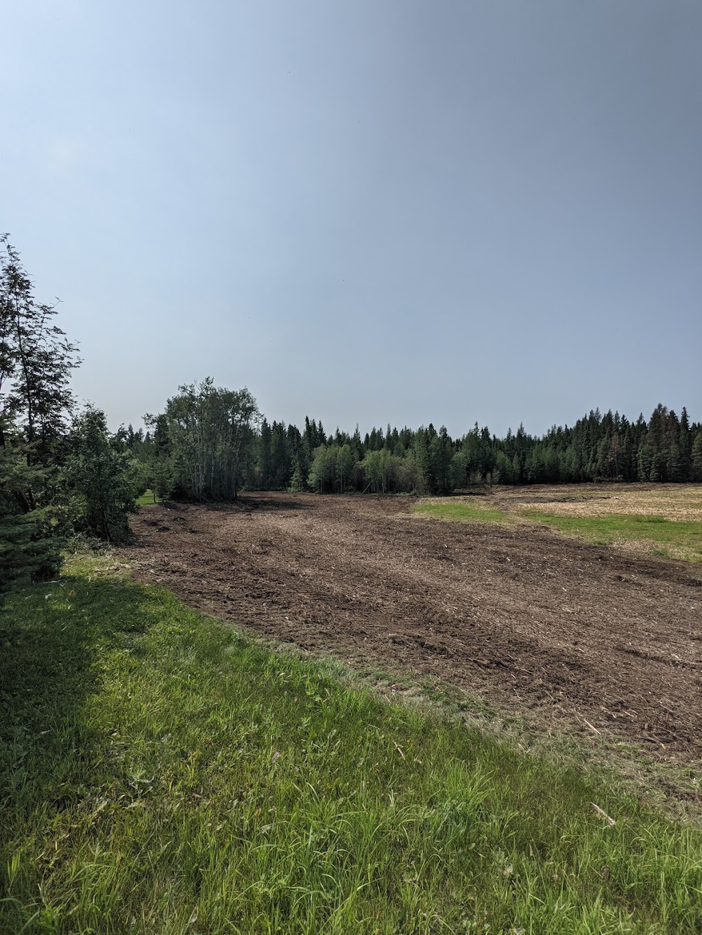 Timberline Mulching | 10212 107 St, Westlock, AB T7P 1X4, Canada | Phone: (780) 307-8641