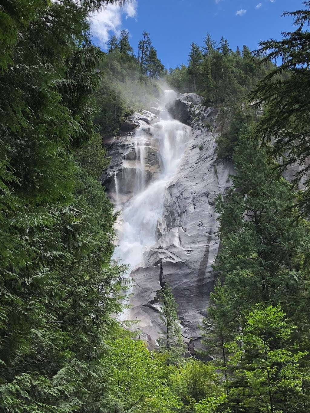 Evergreen Adventures | 862 Renfrew St, Vancouver, BC V5K 4C7, Canada | Phone: (604) 559-8405