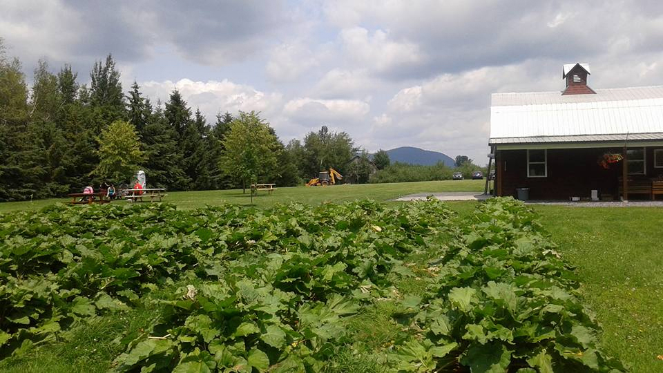 Unifruits | 2105 Rang Papineau, Saint-Paul-dAbbotsford, QC J0E 1A0, Canada | Phone: (450) 948-0737