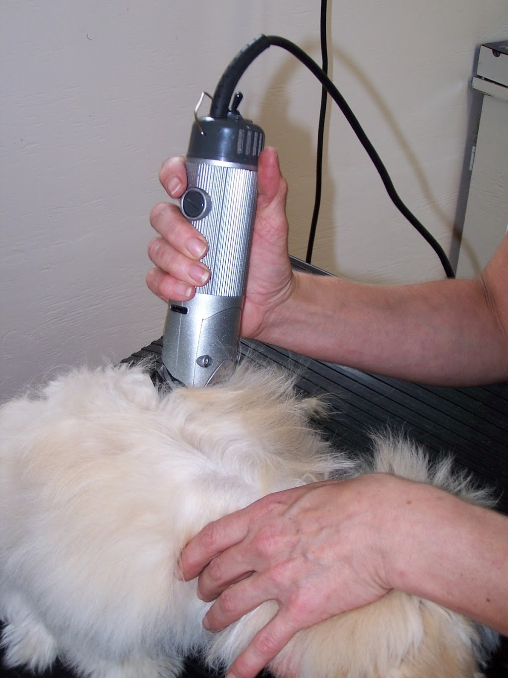 TLC Grooming | 33070 Rd 33E, Mitchell, MB R5G 1P5, Canada | Phone: (204) 371-9009