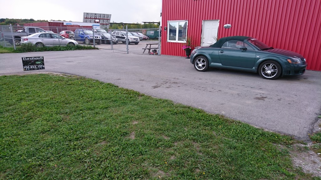 Eurohaus | 120 Norweld Dr, Orillia, ON L3V 7W5, Canada | Phone: (705) 826-1574