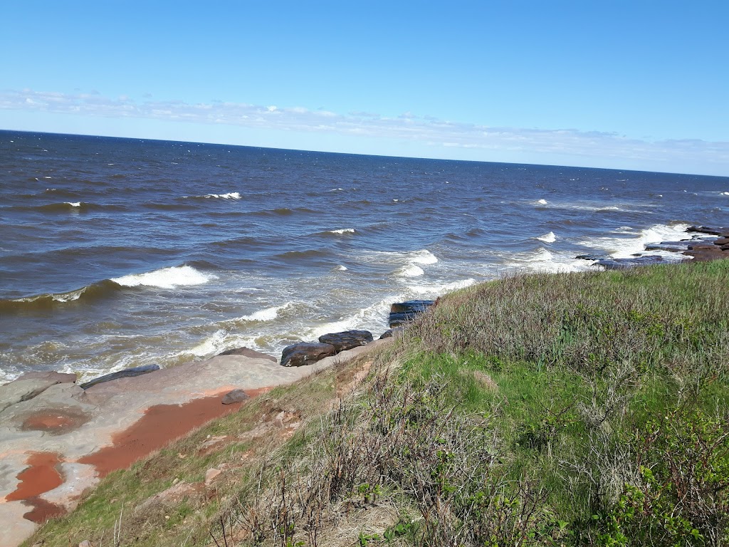 Éditions du Phare | 1234 All. des Hirondelles, Cap-Pelé, NB E4R 1N7, Canada | Phone: (506) 577-6160