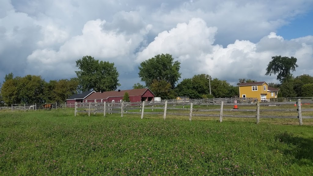 Ecurie Black River Ranch | 852 Rang de la Rivière S, Sainte-Cécile-de-Milton, QC J0E 2C0, Canada | Phone: (514) 592-6571