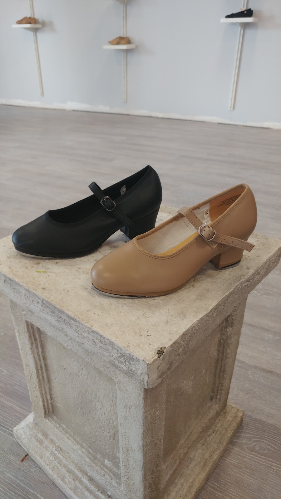 The Turning Pointe Dance Apparel | 6008 Voyageur Dr, Orléans, ON K1C 2L8, Canada | Phone: (613) 299-3533