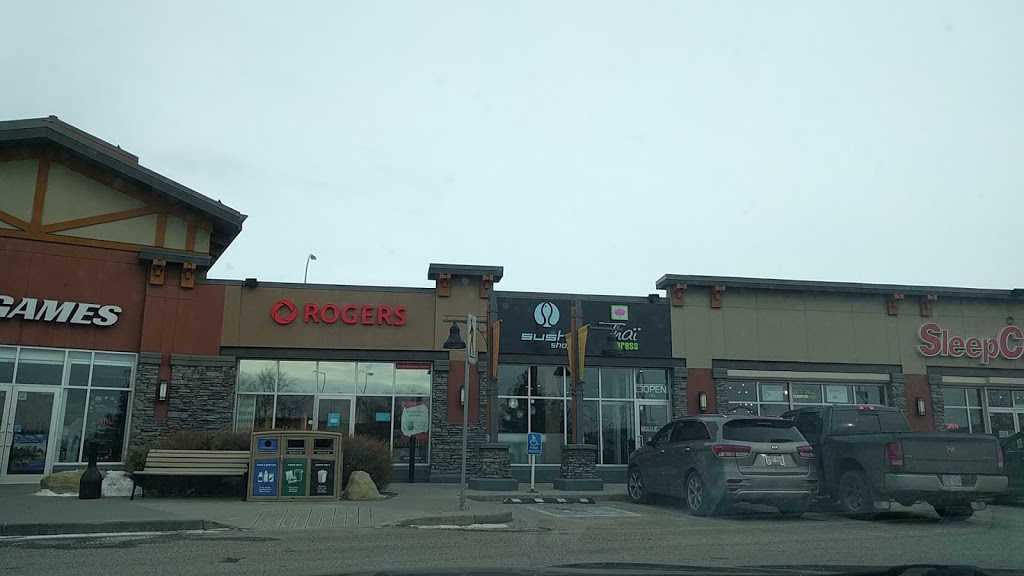 Thai Express | Deerfoot Meadows, 33 Heritage Meadows Way SE, Calgary, AB T2H 3B8, Canada | Phone: (403) 460-2587
