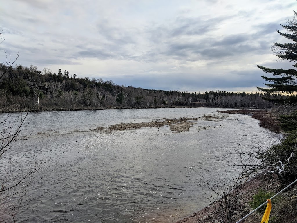 Red Rock Lodges & Campground | 1 Halcomb Rd, Lyttleton, NB E9E 1V8, Canada | Phone: (506) 836-7642