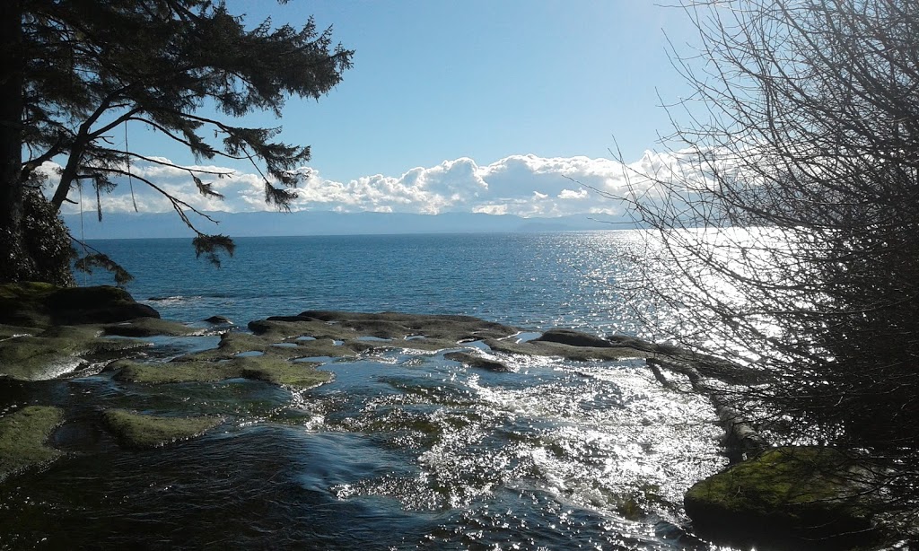 Mystic Beach Adventures | 6918 Grant Rd W, Sooke, BC V9Z 0P4, Canada | Phone: (250) 213-9597