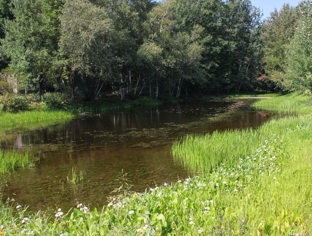 Au Tournenvert | 262 A Grande Terre Rang, Saint-François-du-Lac, Quebec, QC J0G 1M0, Canada | Phone: (450) 249-1036