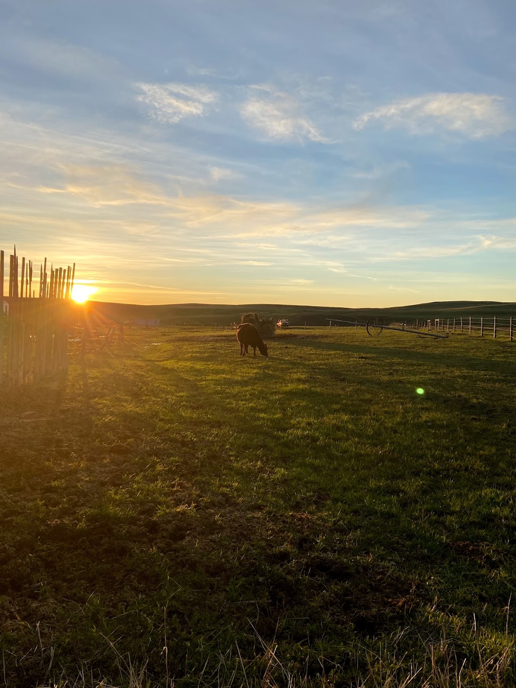 Reverse R Ranch | Township Rd 31, Mountain View, AB T0K 1N0, Canada | Phone: (403) 380-7800