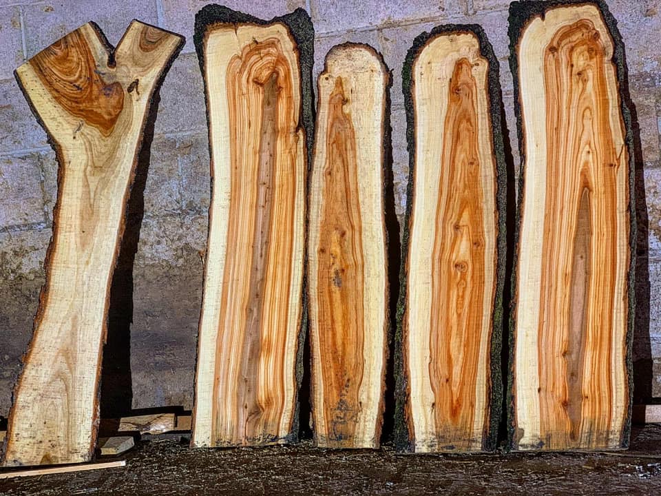 Great Lakes Tree Experts (4) | 48 Cedar Bush Dr, Southampton, ON N0H 2L0, Canada | Phone: (226) 668-4961