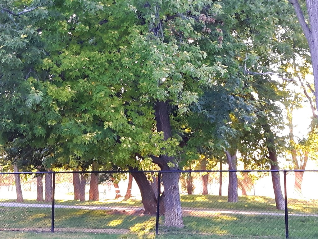 Niagara Falls Dog Park | 2275 Dorchester Rd, Niagara Falls, ON, Canada | Phone: (905) 356-7521 ext. 3330