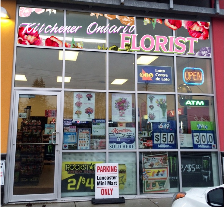 Kitchener Ontario Florist | 499 Lancaster St W, Kitchener, ON N2K 1L8, Canada | Phone: (519) 593-2332
