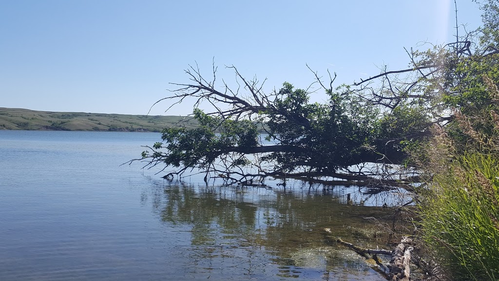 Lower Chalet B Campground | Marquis No. 191, SK S0H 4C0, Canada | Phone: (306) 694-3320