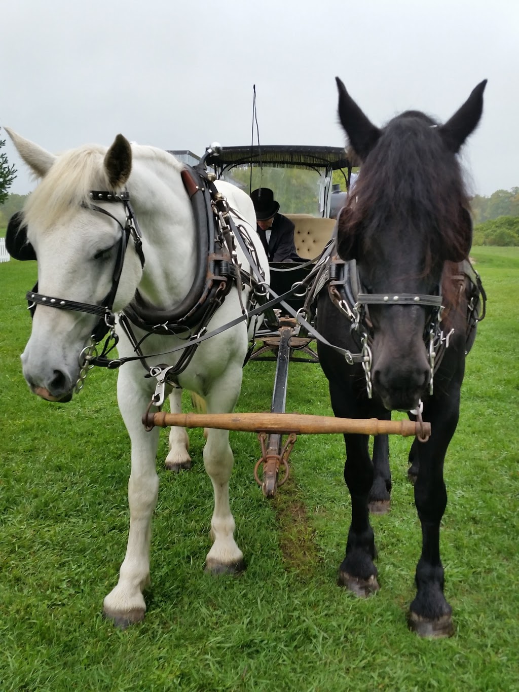 Bygone Days Heritage Museum | 879 Sixth St, Collingwood, ON L9Y 3Y9, Canada | Phone: (705) 441-5109