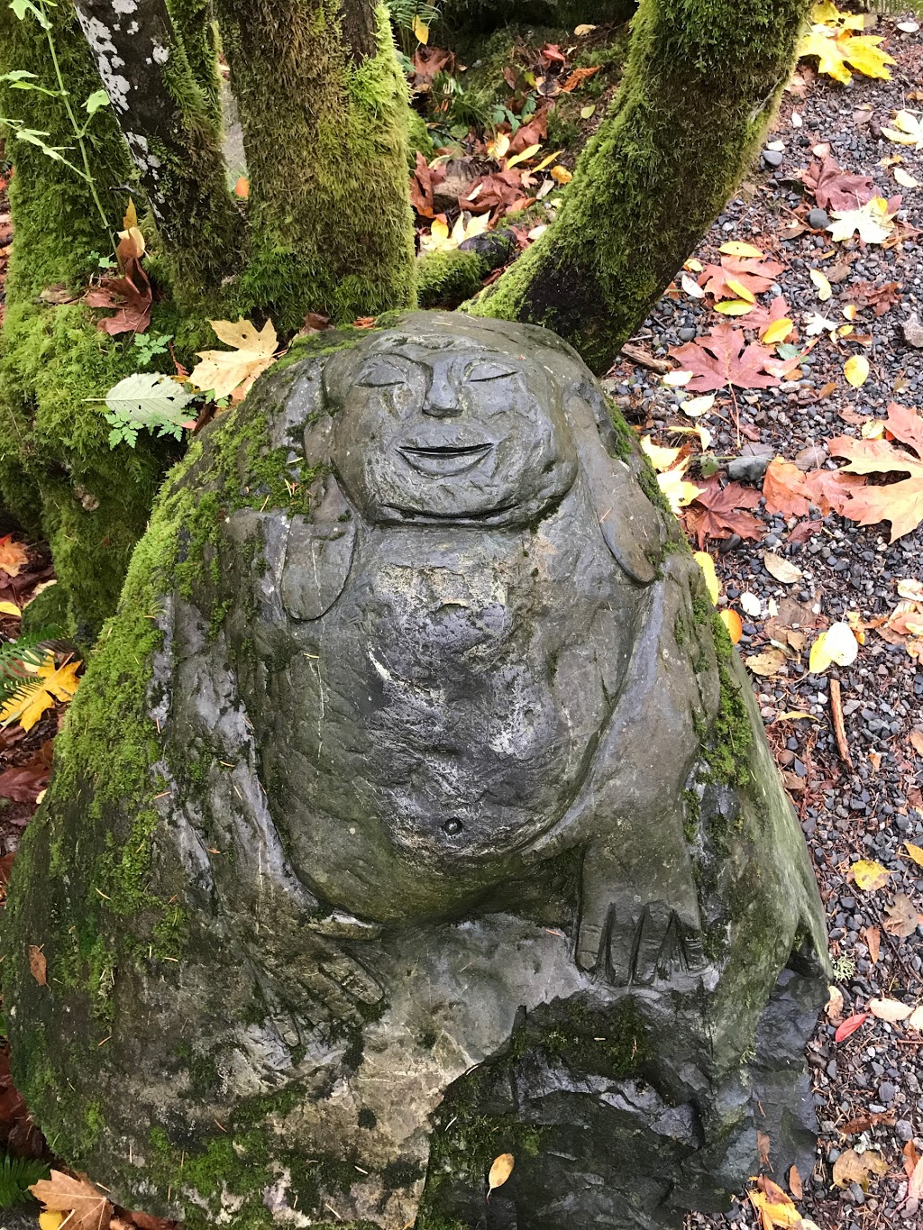 Holland Creek Trail Head | 374 Dogwood Dr, Ladysmith, BC V9G 1T5, Canada