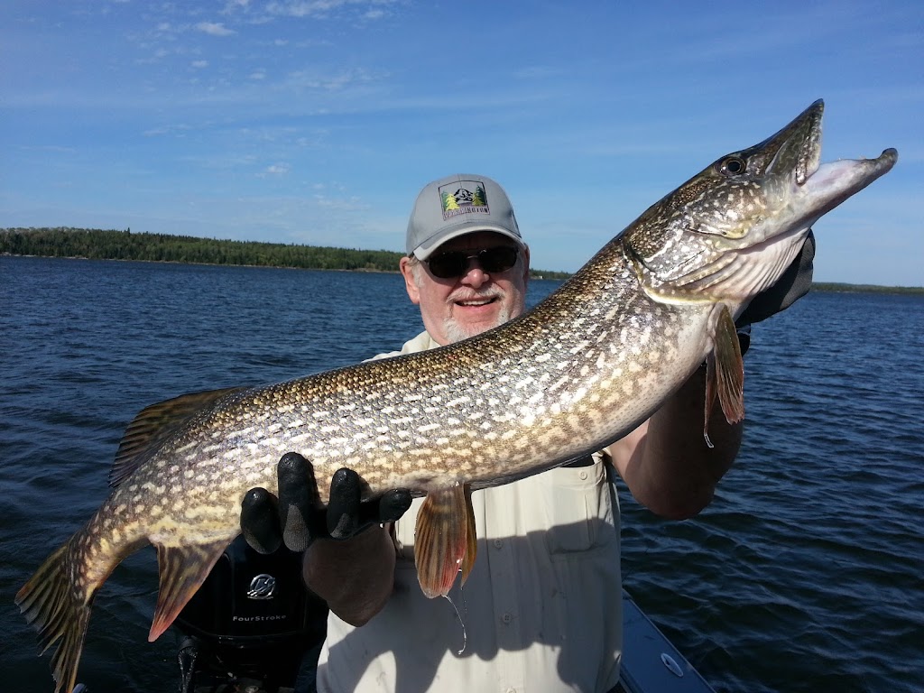 Big North Lodge & Outposts | Lots 12-15, Subdivision M182 11 Big North Road, Minaki, ON P0X 1J0, Canada | Phone: (807) 224-4318