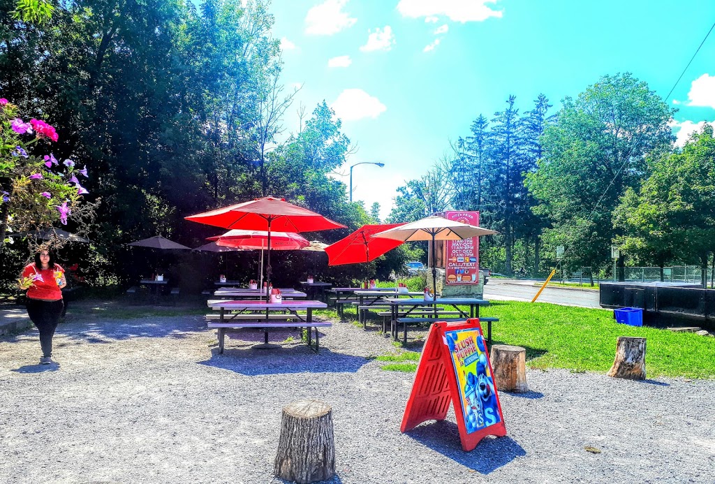 Fitzs Fries | 1088 Bridge St, Manotick, ON K4M 1J2, Canada | Phone: (613) 883-3743