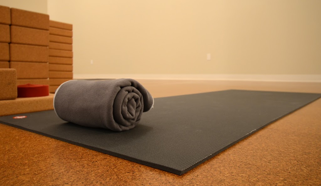 the barre - Stoney Creek | 270 Mud St W, Stoney Creek, ON L8J 3Z6, Canada | Phone: (905) 518-7899