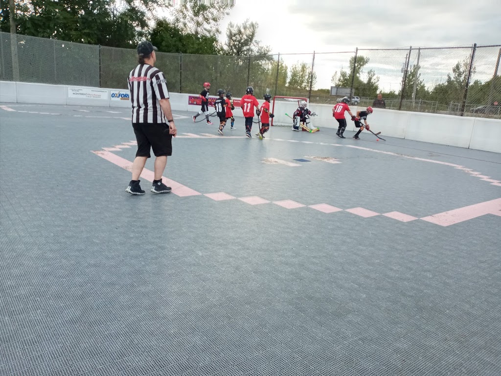Ballhockey.com St Catharines | point of interest | 1944 Welland Canals Parkway, St. Catharines, ON L2P 0B2, Canada | 9056822835 OR +1 905-682-2835