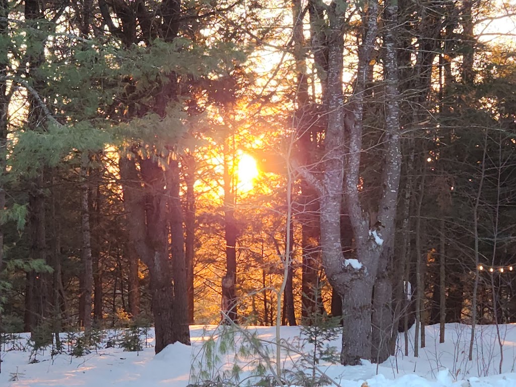 ZuKaLand | 1001 Forrester Trail, Bracebridge, ON P1L 1W9, Canada | Phone: (416) 319-5087