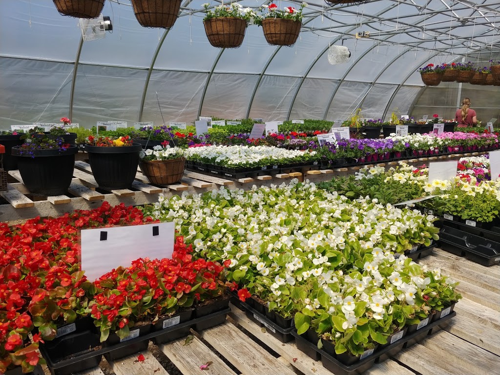 Ashtons Garden Centre | 125 Upper River John Rd, Tatamagouche, NS B0K 1V0, Canada | Phone: (902) 324-3429