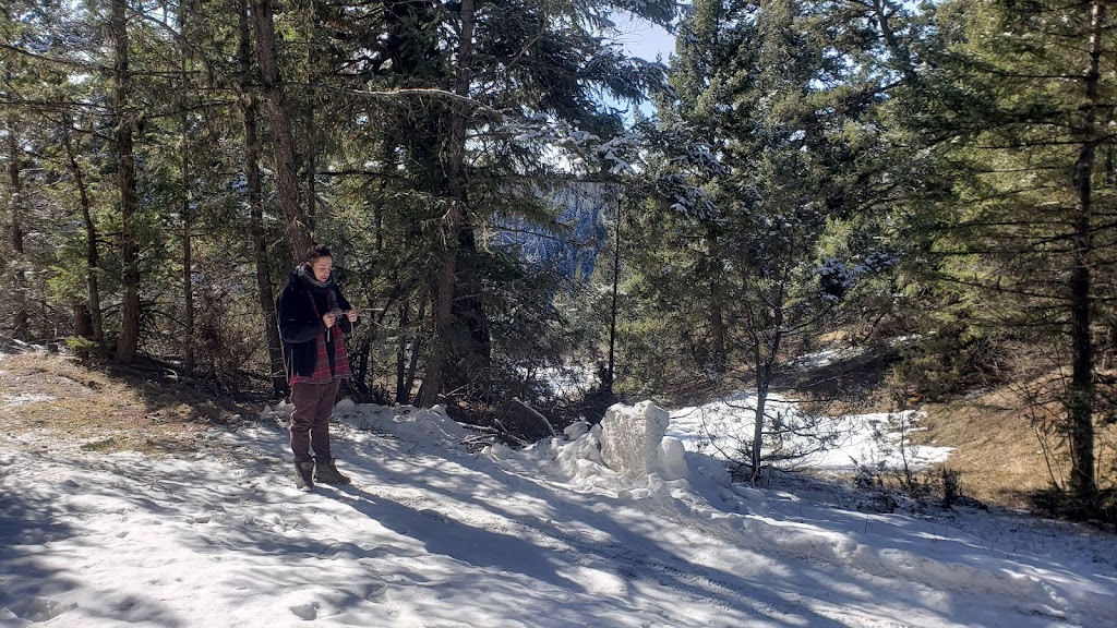 Vidette Lake Nature Retreat | Deadman Vidette Rd, Thompson-Nicola J, BC V0K 2K1, Canada | Phone: (778) 765-5407