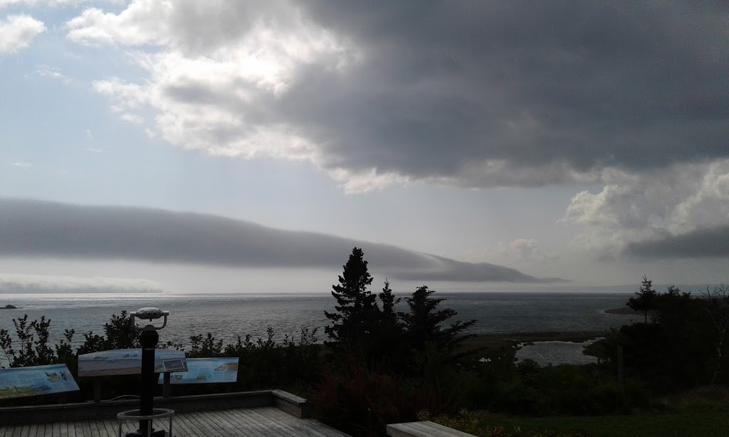 FORCE: Fundy Ocean Research Center for Energy | 1156 W Bay Rd, Parrsboro, NS B0M 1S0, Canada | Phone: (902) 254-2510