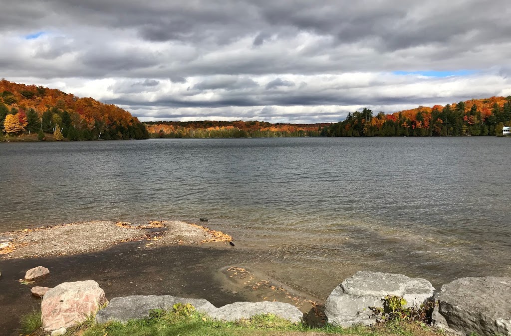 Wolf Trail | Chemin du Lac Meech, Chelsea, QC J9B 1H9, Canada | Phone: (613) 239-5000