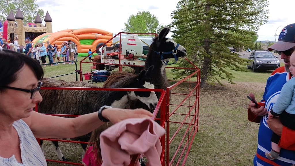 Turner Valley Town | 514 Windsor Ave NW, Turner Valley, AB T0L 2A0, Canada | Phone: (403) 933-4944
