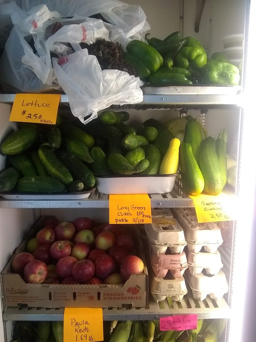 Devaney farmstand | 3843 Hudson Rd, West Charleston, VT 05872, USA | Phone: (802) 895-4080