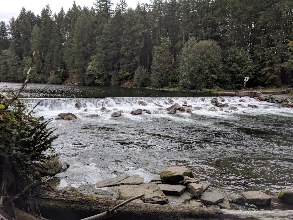 Puntledge River Hatchery | 38 Powerhouse Rd, Courtenay, BC V9N 9L3, Canada | Phone: (250) 703-0907