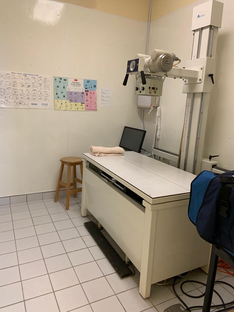 North Wellington Animal Hospital | 248 Main St S, Mount Forest, ON N0G 2L2, Canada | Phone: (519) 323-2060