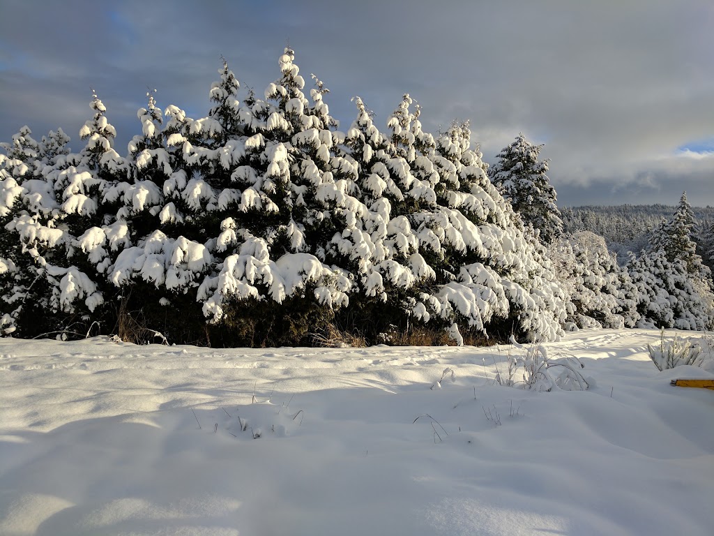 EcoReality Sustainable Land Use and Education Cooperative | 2152 Fulford-Ganges Rd, Salt Spring Island, BC V8K 1Z7, Canada | Phone: (250) 653-2024