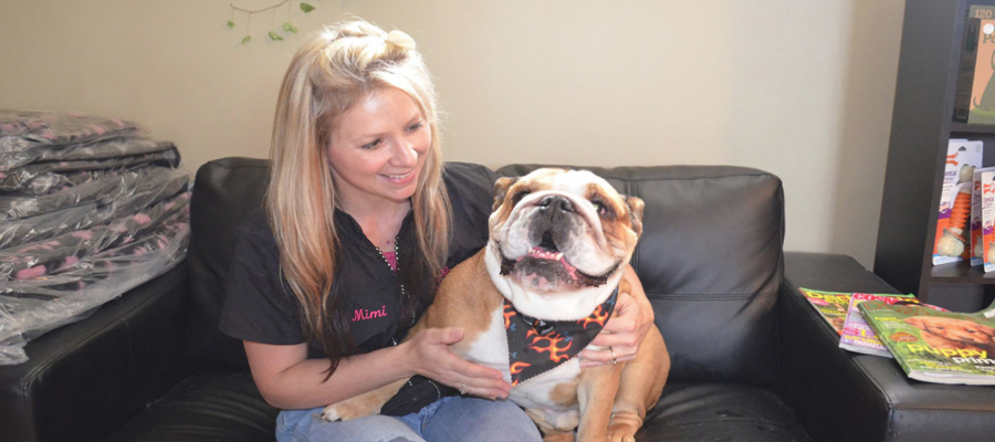 Mimis Pet Grooming | 2242 Foxmead Rd, Coldwater, ON L0K 1E0, Canada | Phone: (705) 238-2397