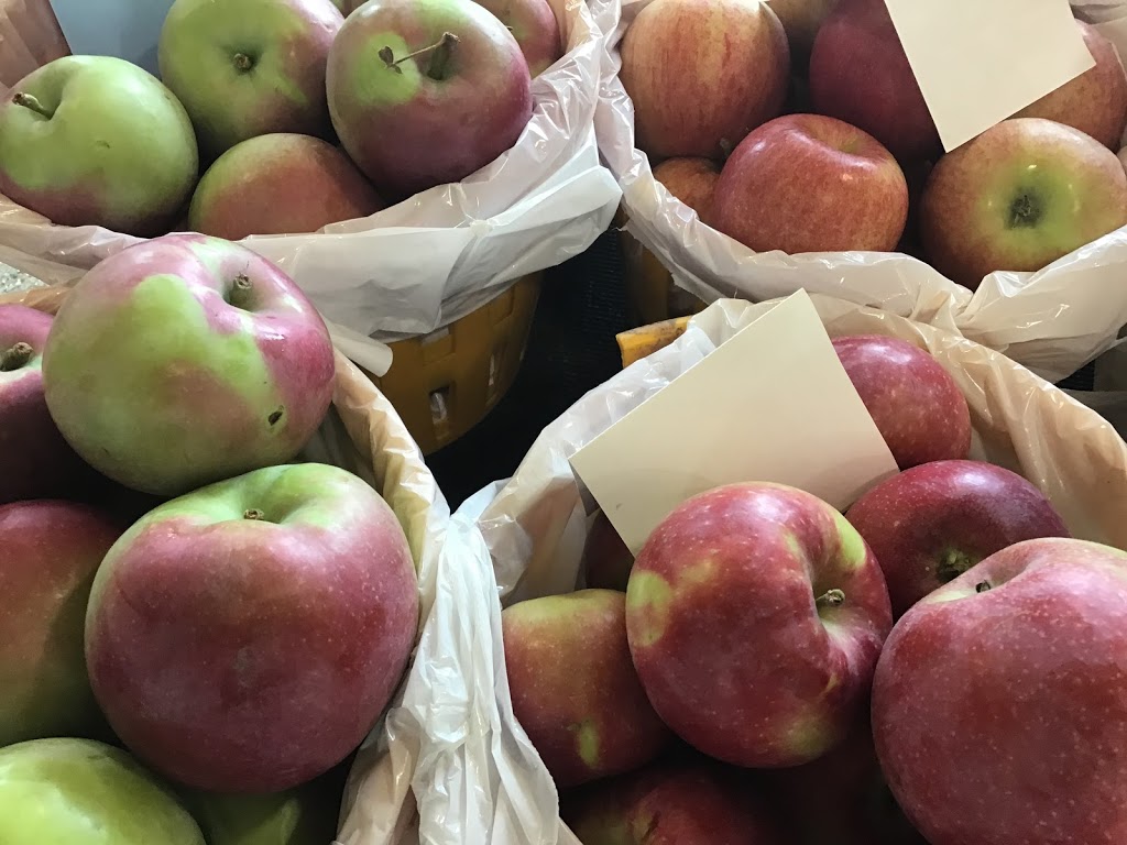 Maitland Market and Supply | 79988 Porters Hill Line, Goderich, ON N7A 3X8, Canada | Phone: (519) 524-0773