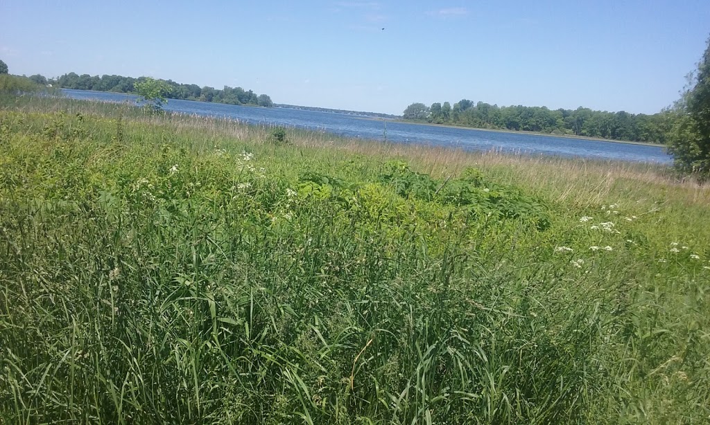 Whalen Park | 280 Whalen Rd, Massena, NY 13662, USA