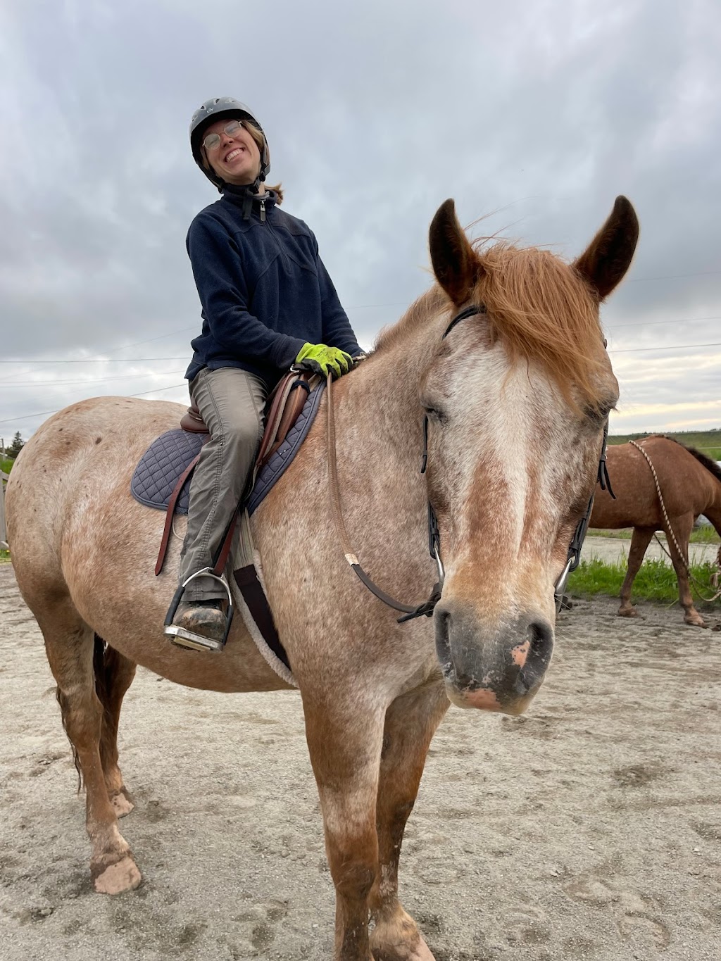 Reaching Strides Equestrian Centre | 423 Dunmore Rd, Port Hood, NS B0E 2W0, Canada | Phone: (902) 870-1583
