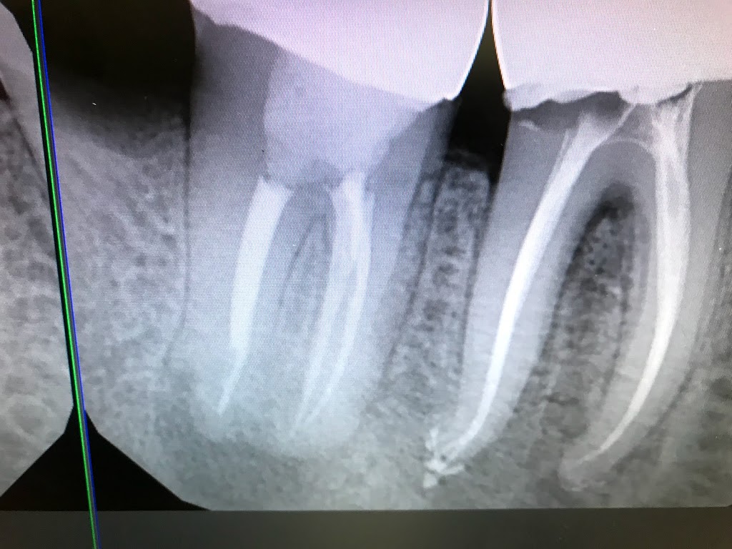 Steelworkers Dental Office | 33 Cecil St, Toronto, ON M5T 1N1, Canada | Phone: (416) 343-0086