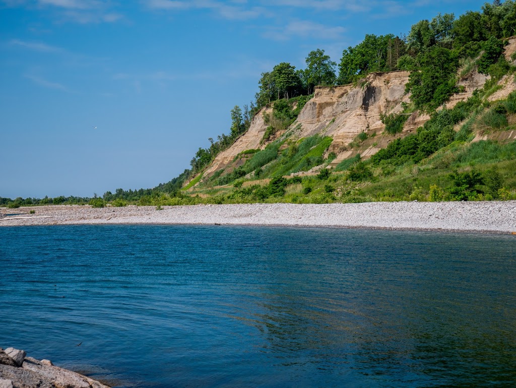 Fools Paradise | 1 Meadowcliffe Dr, Scarborough, ON M1M 2X9, Canada
