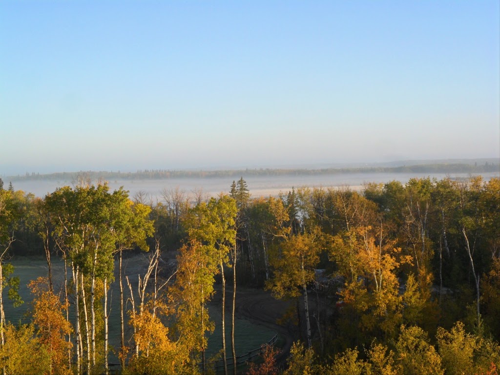 Birch Bay Ranch | 51505 Range Rd 215, Sherwood Park, AB T8E 1H1, Canada | Phone: (780) 922-2883