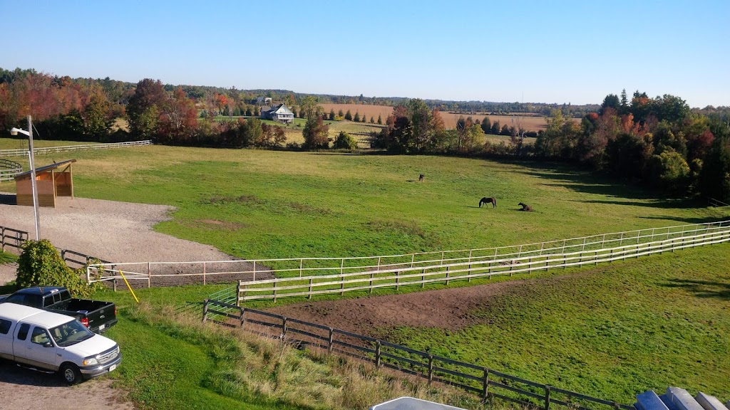 Royaleigh Acres | 9575 Side Rd 5, Erin, ON N0B 1T0, Canada | Phone: (905) 616-0513